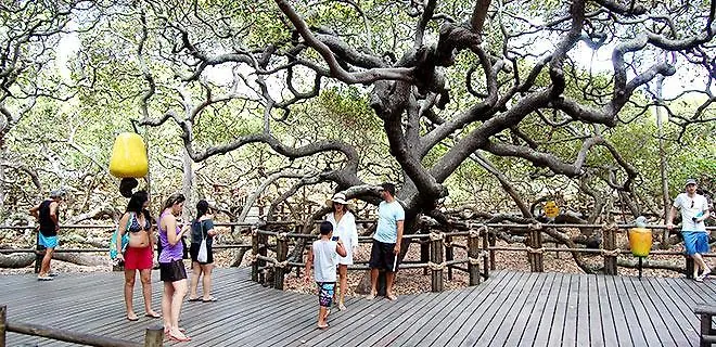 Navegantes Flats Lägenhet Natal Brasilien